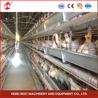 H Type 128 Cages à poulets Poule pondeuse Volaille Cage Ferme Système automatique de haute qualité