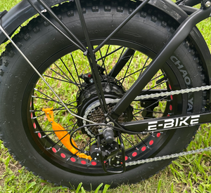 Bicicleta Eléctrica <span class=keywords><strong>DOOK</strong></span> 2025, 20 * 4.0 Pulgadas, Batería de Litio de 48V750W, Tubo Inferior, Neumáticos Gruesos para Nieve - Product Image 6