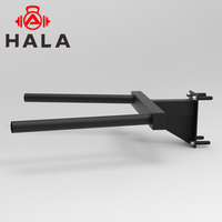 HALA-WM-1610 haute qualité en gros équipement de gymnastique Dip Bar Attachement pliable mural Power rack dip station attachement