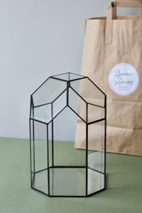 Glass <strong>Terrarium</strong> <strong>Kit</strong> Diamond Shape Glass <strong>Terrarium</strong> Plant Sarufo Glass Plant <strong>Terrarium</strong> <strong>Kit</strong> - Product Image 4