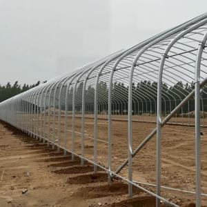 Invernadero Agrícola de Doble Capa y Gran Tamaño para Zonas Rurales, con Techo Inflable y Ventilación Superior, Material PE Tipo Diente de Sierra, Suministrado desde China - Product Image 4