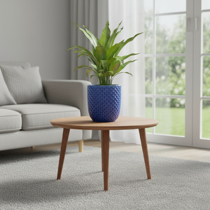 Grandi Vasi in Ceramica Smaltata per Uso Esterno, Design Classico e Moderno, Durevoli, Vendita all'Ingrosso - Product Image 6