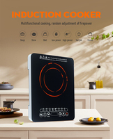 Cuisinière à induction intégrée de dernière génération avec protection contre la surchauffe pour la cuisine à domicile
