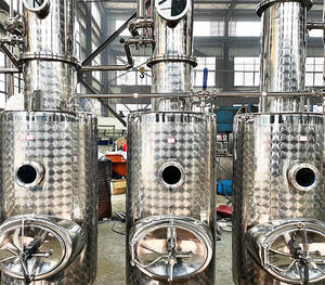 Équipement de distillation de distillateur de colonne de <span class=keywords><strong>prix</strong></span> usine pour les alambics de Moonshine pour le vin de gin de whisky - Product Image 4