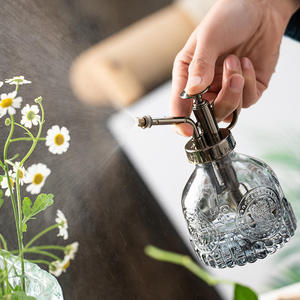 <span class=keywords><strong>Arrosoir</strong></span> en verre vintage de haute qualité, durable et écologique, petite taille, durée de vie de 8 à 10 ans, <span class=keywords><strong>pompe</strong></span> à gâchette dédiée aux plantes de bureau - Product Image 6