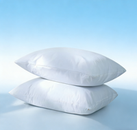 Protège-oreillers imperméables avec fermeture éclair, taille standard 20x26 pouces, housses d'oreiller à fermeture éclair silencieuses, lot de 2