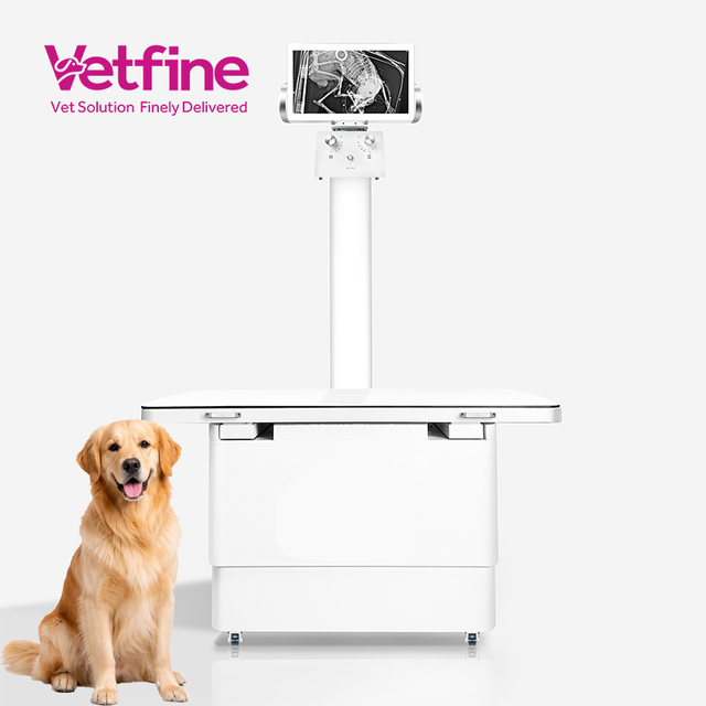 Intelligent Veterinary Digital Radiography System 32kW High Frequency X-ray Machine with 17x17 140um AED FPD for Pets