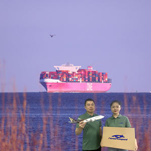Tariffe di spedizione più economiche servizio di corriere a porta USA/europa aerea/marittima/espresso agente Cargo cina spedizioniere - Product Image 6