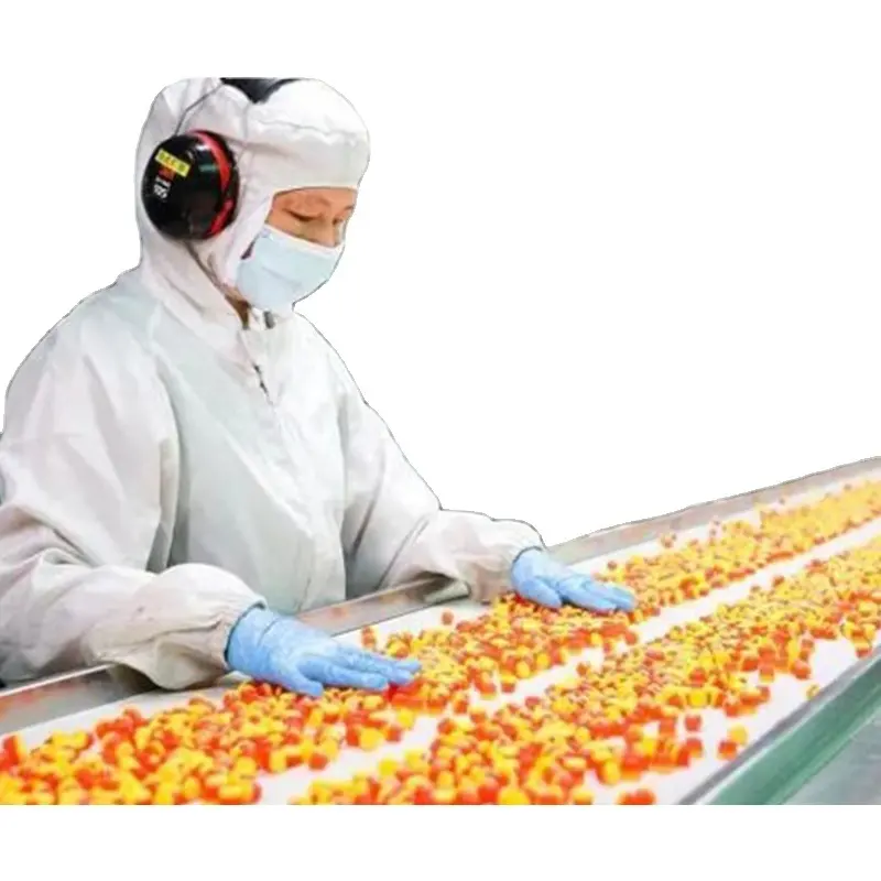 Linea di produzione di caramelle gommose G80 per la produzione di orsetti gommosi