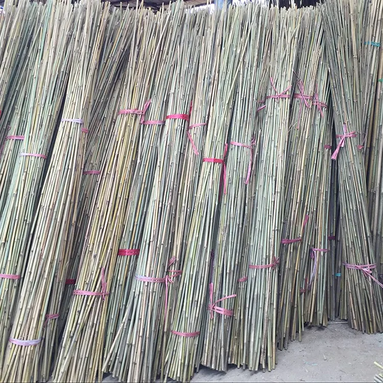 Großhandel natürliche Bambus stöcke Bulk Large Bamboo Starke Pfähle für Pflanzen
