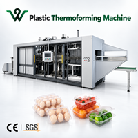 Machine de thermoformage servo entièrement automatique à grande vitesse, conforme aux normes CE, pour contenants alimentaires jetables écologiques en PS/PET/PP/HIPS