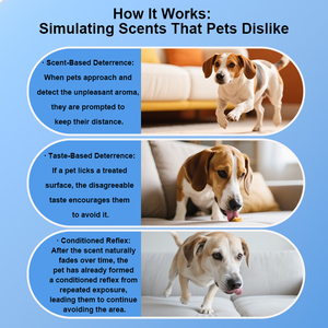 Spray répulsif pour chiens sûr et non toxique, <span class=keywords><strong>anti</strong></span>-morsure, <span class=keywords><strong>anti</strong></span>-mastication, dissuasif pour animaux domestiques - Product Image 6