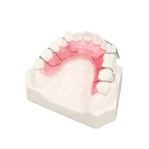Modelo de demostración de retenedor Dental, modelo de corrección de enseñanza Dental, comunicación médica, M3007