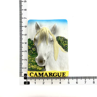 Ensemble d'aimants de réfrigérateur en résine sur le thème des animaux du monde entier, souvenir de voyage, décoration de réfrigérateur pour les amateurs de faune sauvage