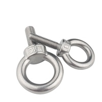 Fasteners M6M10 Stainless Steel AISI316 Eye Bolt