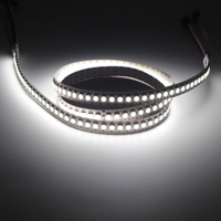 TRX WS2812B 5050RGB 2700K 5V 30/60/144 Pixel 10mm LED flexible programmable intégré, étanche IP67, ultra-fin, USB, pour aménagement paysager
