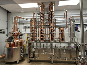 Alambic à whisky Ace 2000 litres, équipement de distillation pour distillerie - Product Image 4