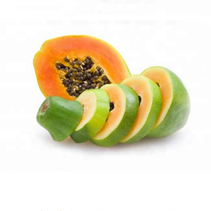 हॉट सेलिंग पपीता फल पाउडर निकालने/पपीता एंजाइम पाउडर - Product Image 6