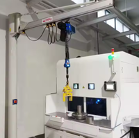 OEM Vente Chaude Q6L030 300kg Palan À Chaîne Électrique Intelligent 220V Machine De Levage De Poche Pour L'industrie De La Chine Usine