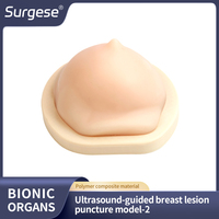 Maniquí de Entrenamiento para Biopsia Mamaria Guiada por Ultrasonido IG004-S2 |   Modelo Avanzado de Punción Mamaria con 6 Lesiones, Capa de Piel y Base Incluidas