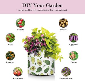 Maceta <span class=keywords><strong>de</strong></span> Tela para Cultivo <span class=keywords><strong>de</strong></span> <span class=keywords><strong>Aguacate</strong></span> <span class=keywords><strong>de</strong></span> 3/5/7/10 Galones con Asa, Tejido Grueso No Tejido para Uso <span class=keywords><strong>en</strong></span> Interiores y Exteriores - Product Image 3