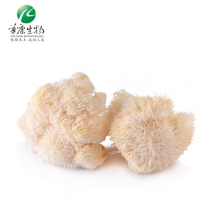 Estratto di fungo criniera di leoni istantanei organici criniera di leone e caffè fungo in polvere cibo Hericium Erinaceus sacro 7 estratto di funghi - Product Image 6