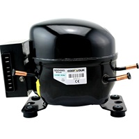 Compresseur de réfrigérateur Coolsour DC 12V/24V, R134A/R600A, L/M/HBP, pour système de réfrigération mobile