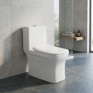 Salle de bain Articles sanitaires occidentaux Water Closet - Western WC Toilet Bowl Pedestal Basin Washdown One-Piece, Nigeria, Twyford, Ghana - Product Image 5