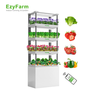 Système de culture hydroponique intelligent pour plantes avec LED et pack d'éléments nutritifs