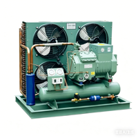 Unité de condensation semi-hermétique TECUMSEH 25 CV avec moteur, système de réfrigération écoénergétique et respectueux de l'environnement pour chambres froides