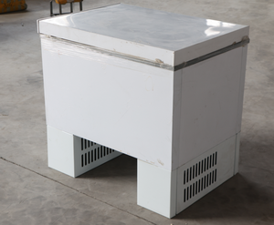 Caja de motocicleta refrigerada de 128L para carne congelada puesta en caja de motocicleta congelada - Product Image 1