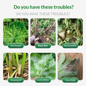 Engrais granulaire pour plantes, fleurs et orchidées, pour une utilisation en intérieur et en extérieur dans le jardin - Product Image 3