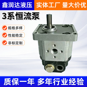 Pompe à engrenages à débit constant Xinrunda série 3, en acier inoxydable 304, à entraînement moteur rotatif, pour systèmes hydrauliques - Product Image 5