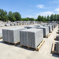 Dalles de granit écologiques modernes, flammées et brossées, de la marque Mine Direct TY, petites dalles et blocs, pour extérieur, Shandong, immobilier, villa, parc