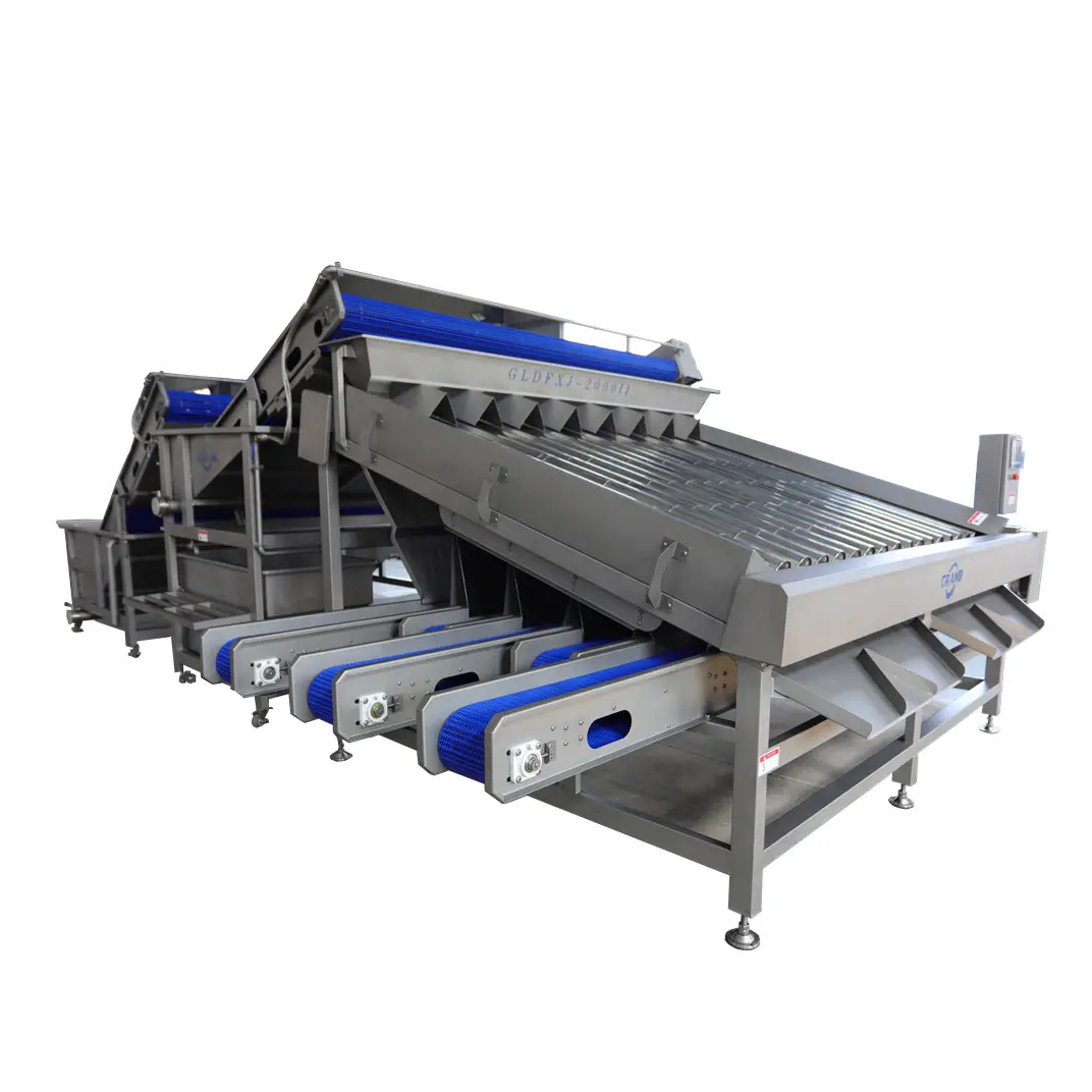 Automatic shrimp sorting machine 2000kg/h prawn grading machine