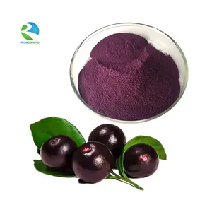 Best Price High Quality Pure Natural Organic Acai Berries Fruit Extract
