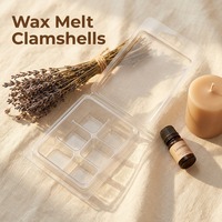 Boîte à bougies personnalisée de haute qualité, transparente, écologique, de qualité alimentaire, avec 6/9 cavités, emballage en plastique pour cire fondue