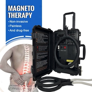 Non Invasive Veterinary Magnetic Therapy Machine Pemf Technology for Animal Inflammation Reduction - Product Image 1