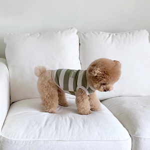 Camiseta sin mangas para mascotas con diseño de gofres a rayas multicolor, chaleco transpirable de verano para perros con estampado de letras para <span class=keywords><strong>cachorros</strong></span> pequeños - Product Image 4