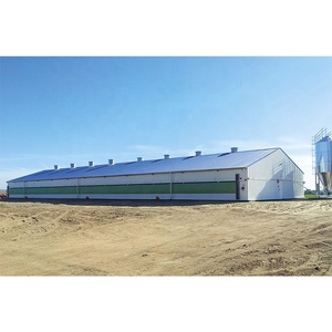 Système <span class=keywords><strong>de</strong></span> nid <span class=keywords><strong>de</strong></span> poulet manuel, 3 unités, broyeur d'œufs, structure en acier, ferme <span class=keywords><strong>de</strong></span> volaille - Product Image 5