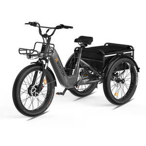 Offre Spéciale haute puissance 2025 entrepôt américain livraison gratuite vélo cargo électrique 500W Tricycles électriques vélo électrique à <span class=keywords><strong>trois</strong></span> <span class=keywords><strong>roues</strong></span> - Product Image 4