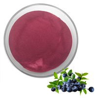 Top Fournisseur Bog Myrtille Fruit Poudre Chinois Myrtille Poudre Vaccinium Uliginosum Poudre Bog Myrtille Poudre