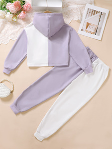 Gran oferta de ropa para niñas y niños, conjuntos de chándal multicolor, conjuntos de ropa para niños, trajes de otoño - Product Image 2