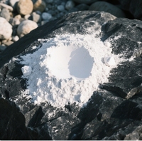 Approvisionnement direct en usine de chaux d'oxyde de calcium de qualité alimentaire pour les coagulants et déshydratants