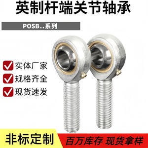 Roulement d'extrémité de tige impérial POSB3 4 5 6 7 8 10 12 16, connecteur œil de poisson à filetage externe de précision P4 - Product Image 3