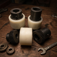 Accouplement interne en acier et nylon NL1 2NL3 4 5NL67 8 9, accouplement de moteur de type standard, haute précision, usage industriel