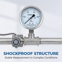 Manomètre en acier inoxydable OEM ODM 0-1MPa, haute précision, pour systèmes hydrauliques, 100 mm, utilisation gaz et liquide