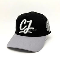 Gorra de Béisbol Estructurada de Dos Colores 100% Algodón OEM ODM, Gorra Personalizada CJ All Star Game con Doble Bordado, Gorras Snapback de Equipo de Liga