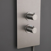 Panneau de douche multifonction contemporain en acier inoxydable nickel brossé pour hôtels, avec jets de pluie modernes, massage et pulvérisation douce en céramique