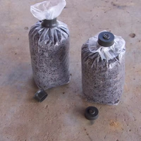 Nouveaux sacs de culture de champignons en plastique biodégradable résistant et innovant, 0,2 micron